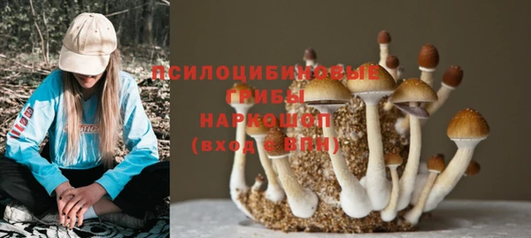 прущая мука Гусев