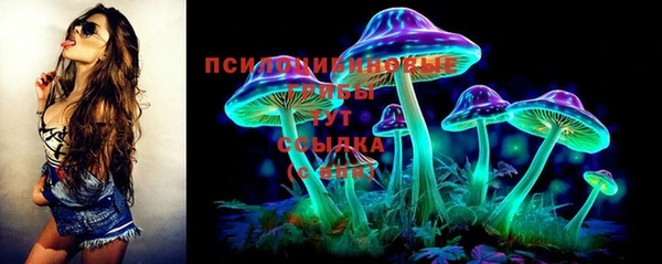 синтетический гашиш Гусь-Хрустальный