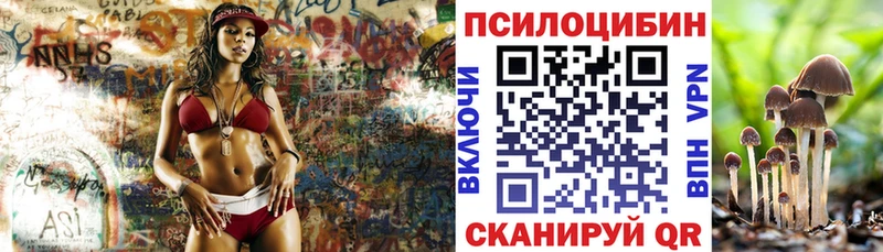 Купить закладки  Сясьстрой  Псилоцибиновые грибы GOLDEN TEACHER 