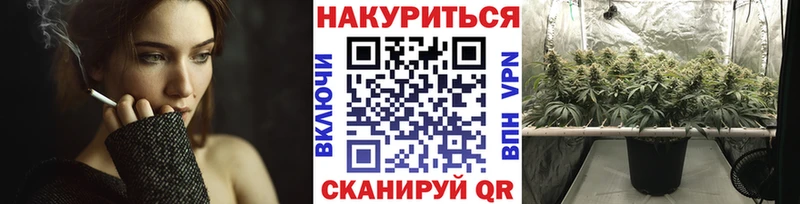 Марихуана гибрид Сясьстрой